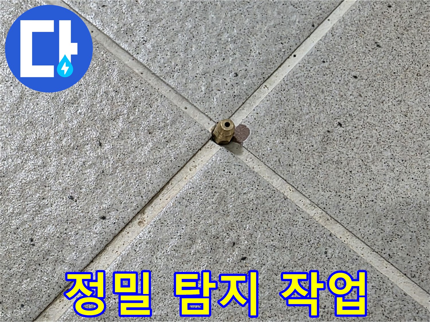 정밀 탐지 작업을 진행하는 모습 - 분당 누수 전문가의 꼼꼼함이 돋보입니다.