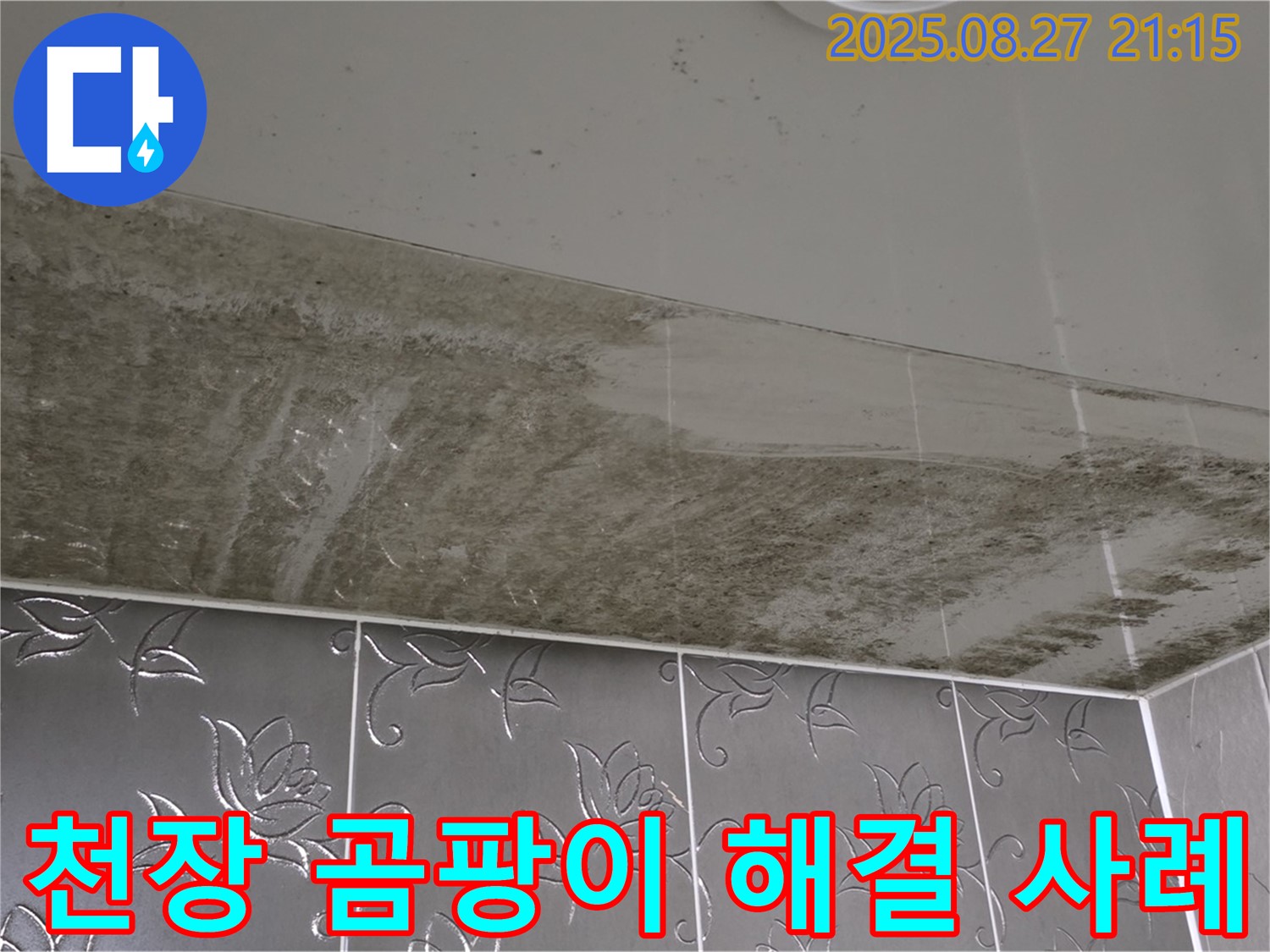 천장 곰팡이 - 누수 문제를 해결하고 쾌적한 환경으로 변화된 실제 사례를 보여주는 이미지입니다.