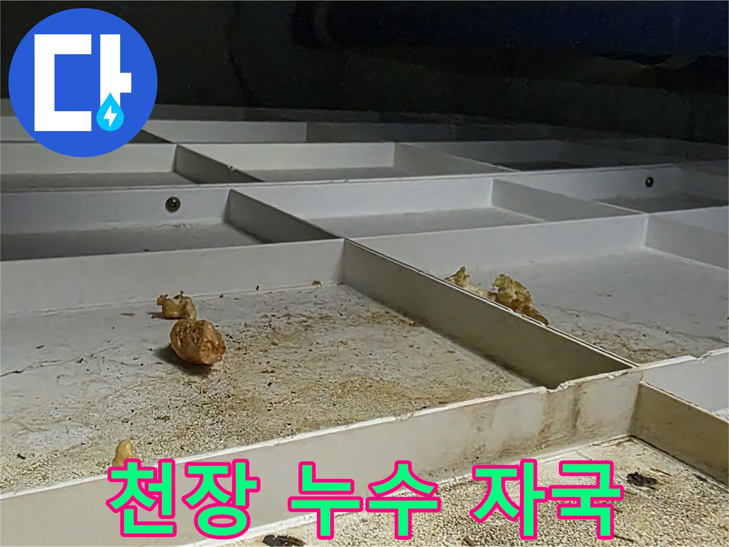 천장 누수 자국 - 누수로 인한 천장 손상