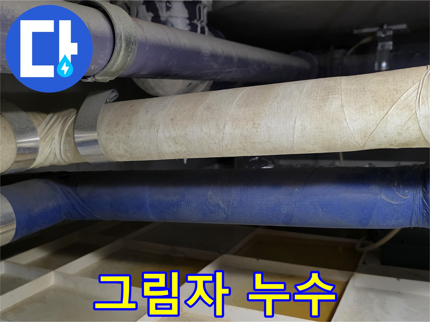 첨단 장비 - 어두운 그림자 속 숨겨진 누수를 찾아 삼만리