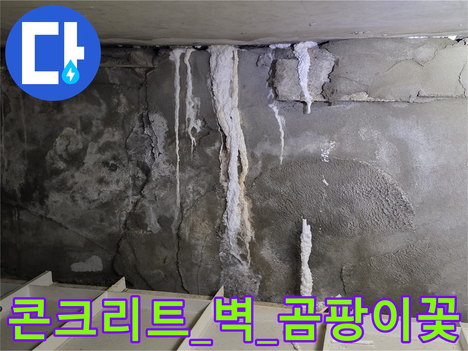 콘크리트 벽 - 석회수 몸살, 곰팡이 꽃 필라