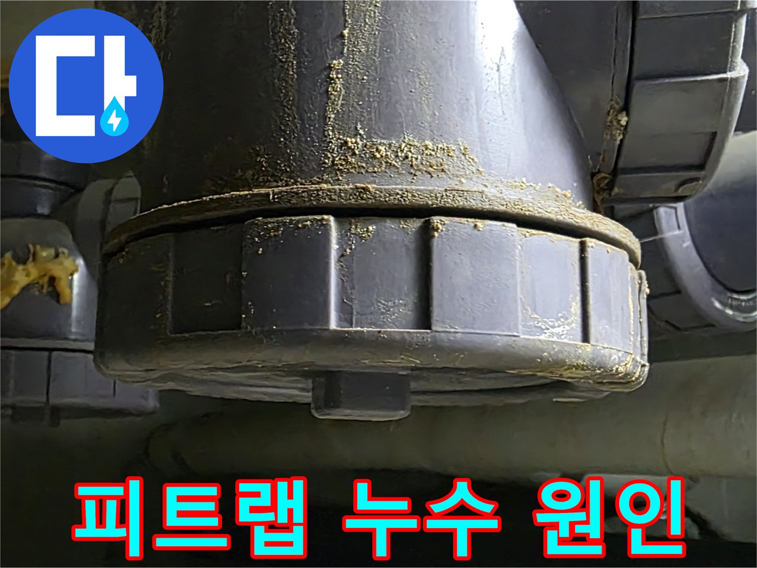피트랩 손상으로 인한 누수 - 배수구 악취와 벌레 차단의 문제