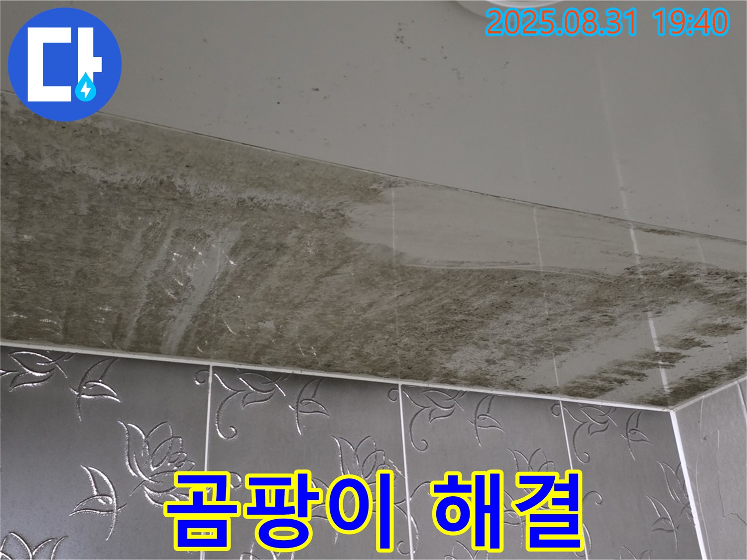 곰팡이 뒤덮인 욕실 천장 - 완벽 해결 후 깨끗