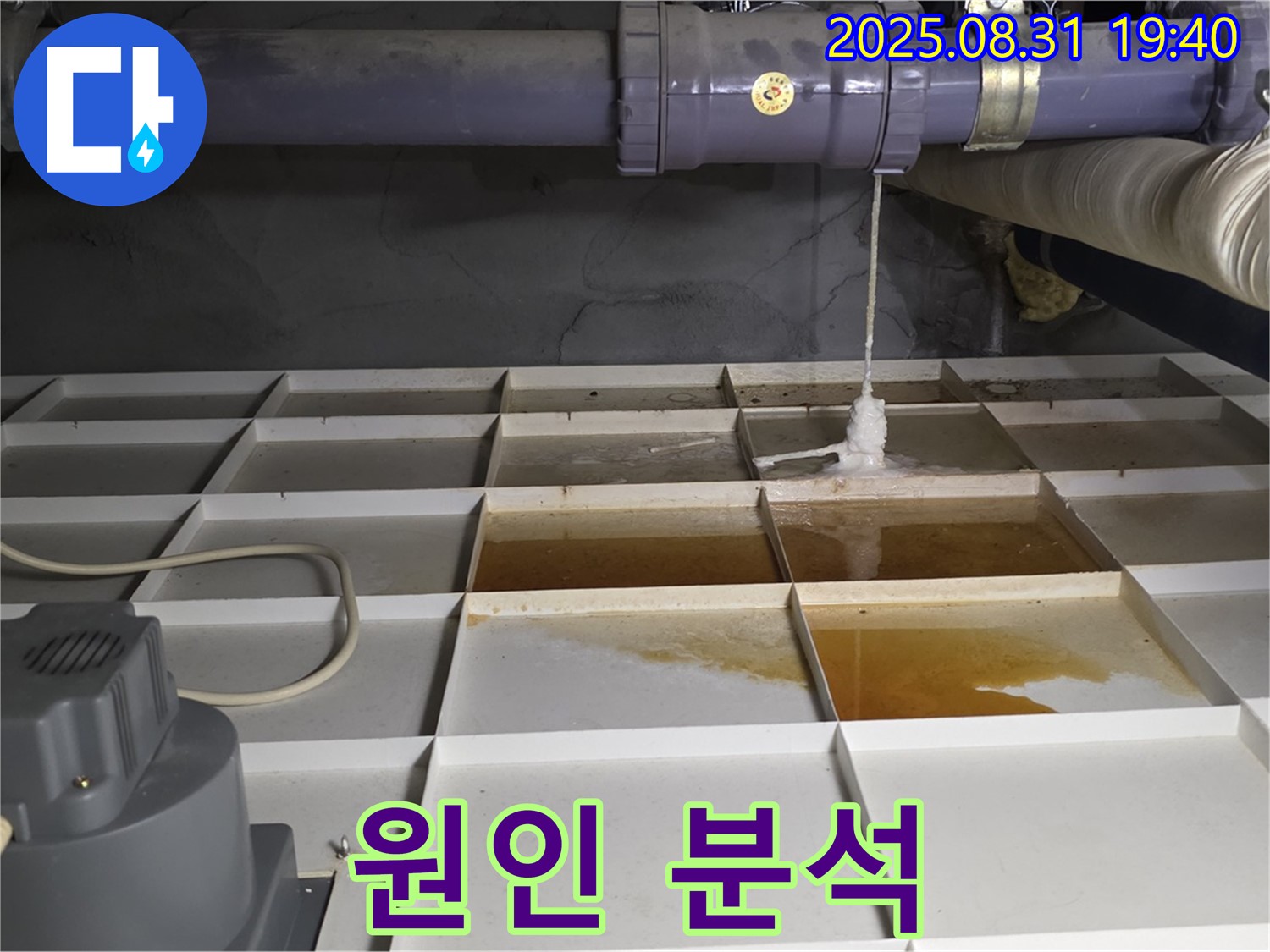 누수 원인 완벽 분석 - 분당 정자동 누수, 맞춤 해결책 제시.