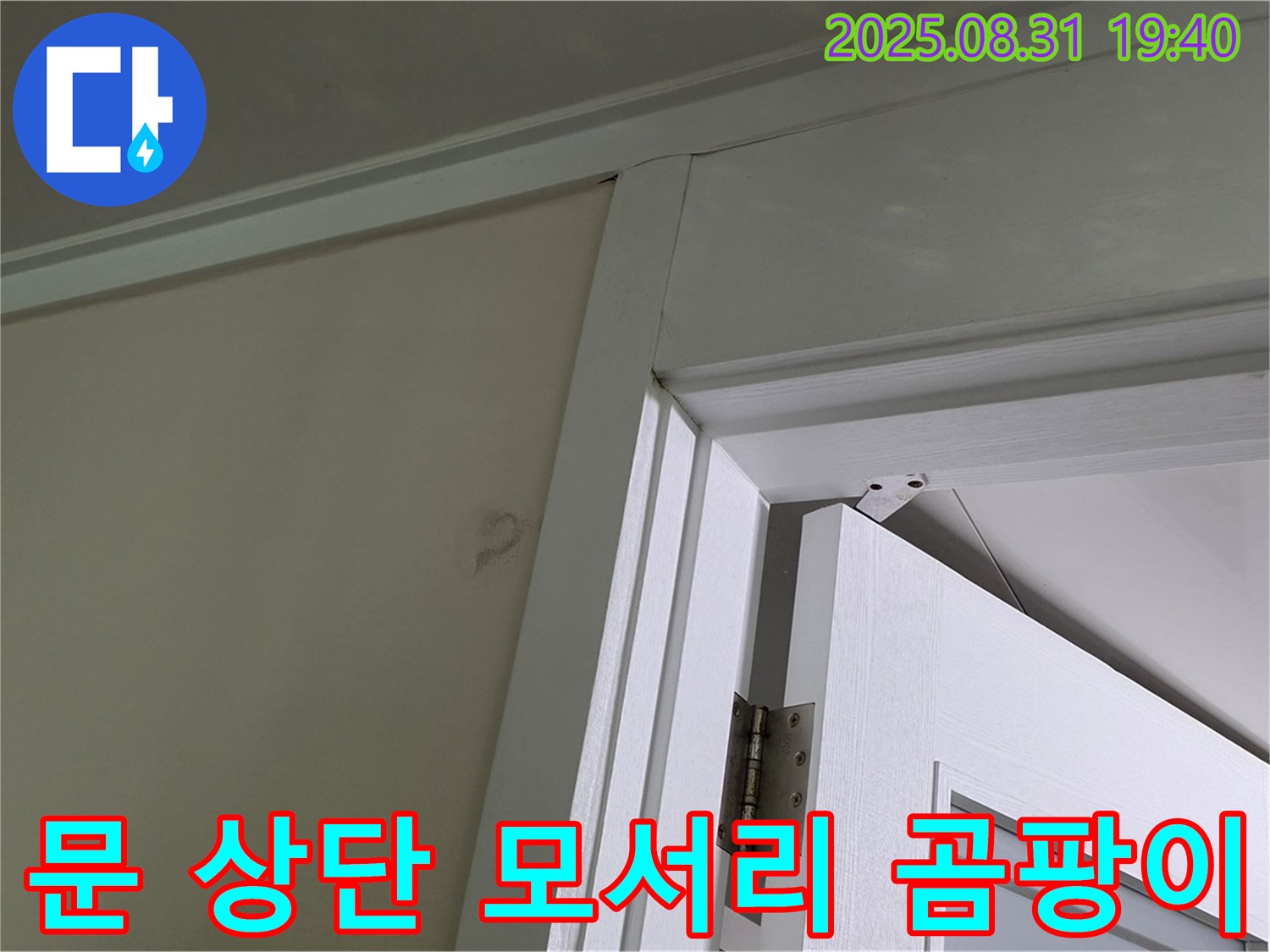 문 상단 모서리 곰팡이 - 문 상단 모서리에 곰팡이가 발생했습니다.