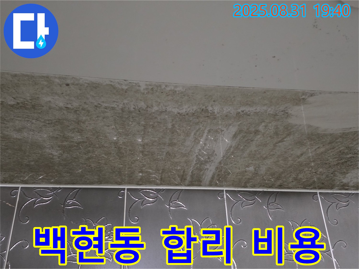 백현동 욕실 누수 - 곰팡이 합리적인 비용으로 해결!