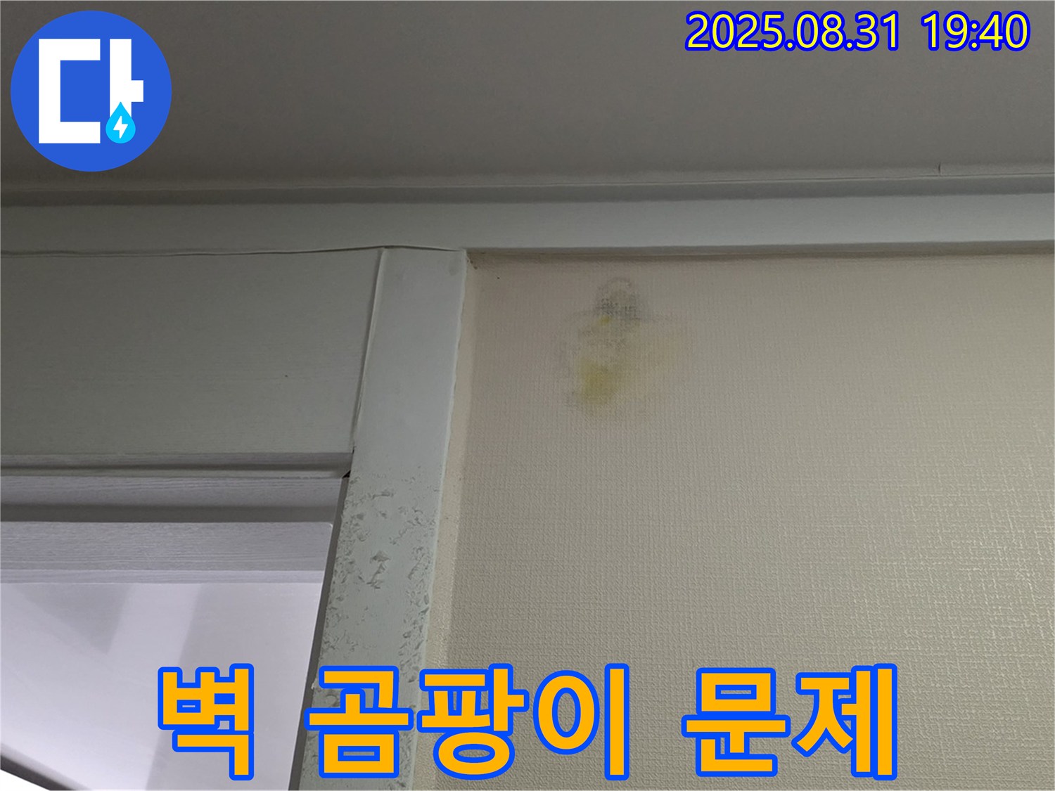 벽 곰팡이 문제 - 성남 분당 산운로 누수 - 전문가 해결