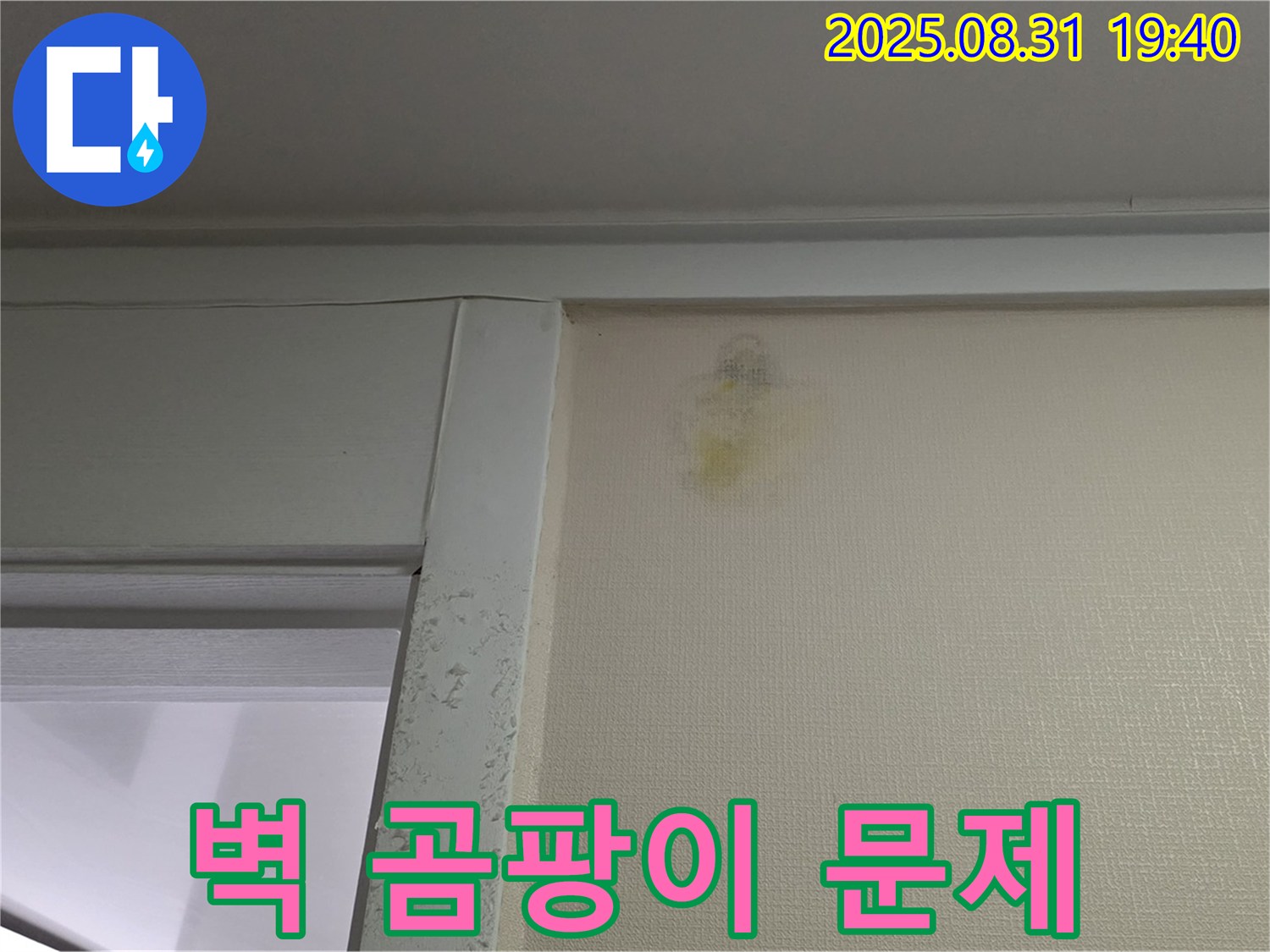 벽 곰팡이 문제 - 성남 분당 정자동 누수 - 전문가 해결