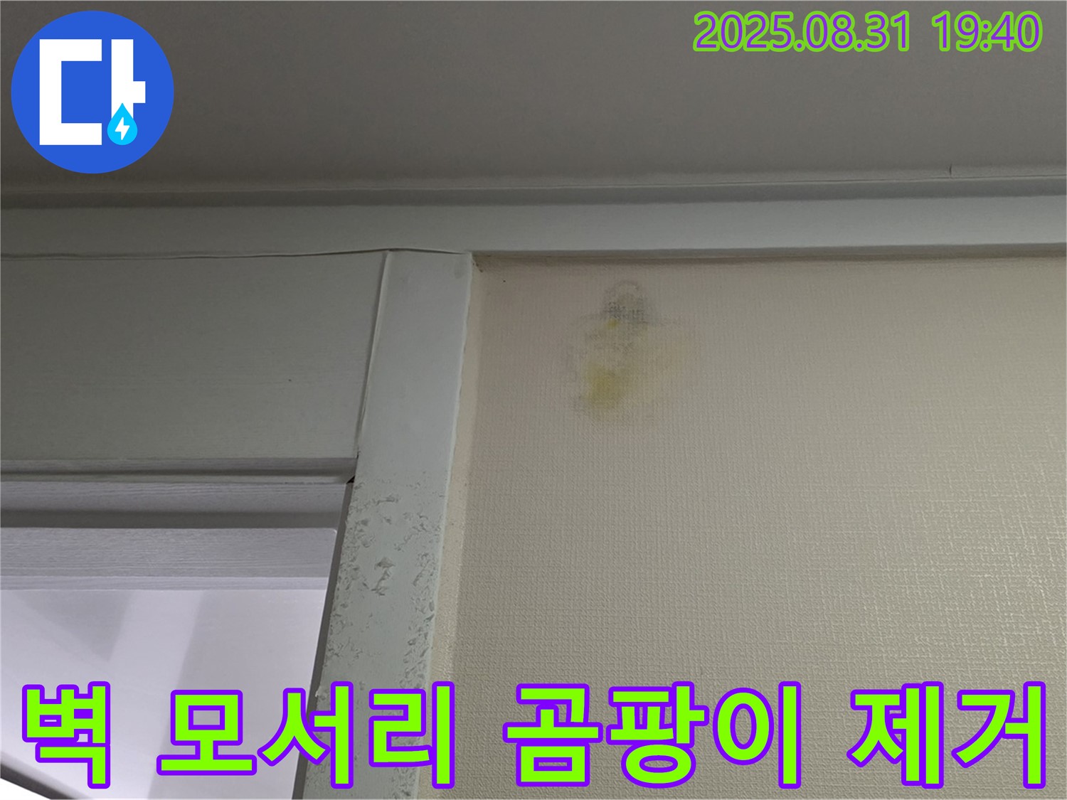 벽 모서리 곰팡이 제거 - 성남 분당구 산운로 누수