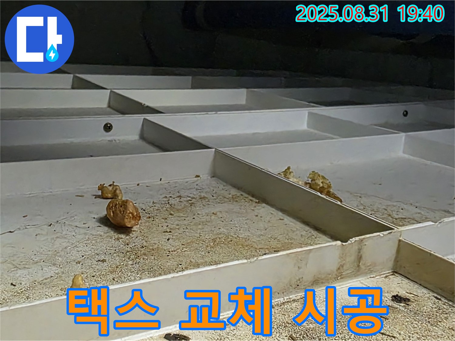 분당 구미동 누수 - 천장 택스 오염 원인 해결 후 교체 시공