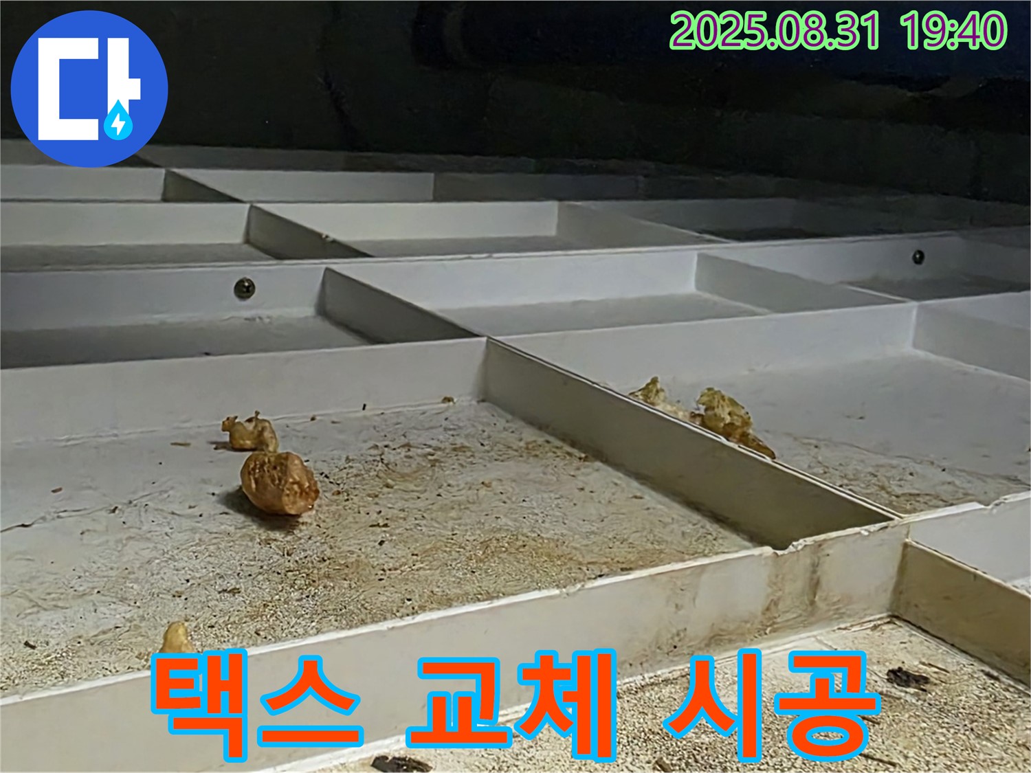 분당 구미동 누수 - 천장 택스 오염 원인 해결 후 교체 시공