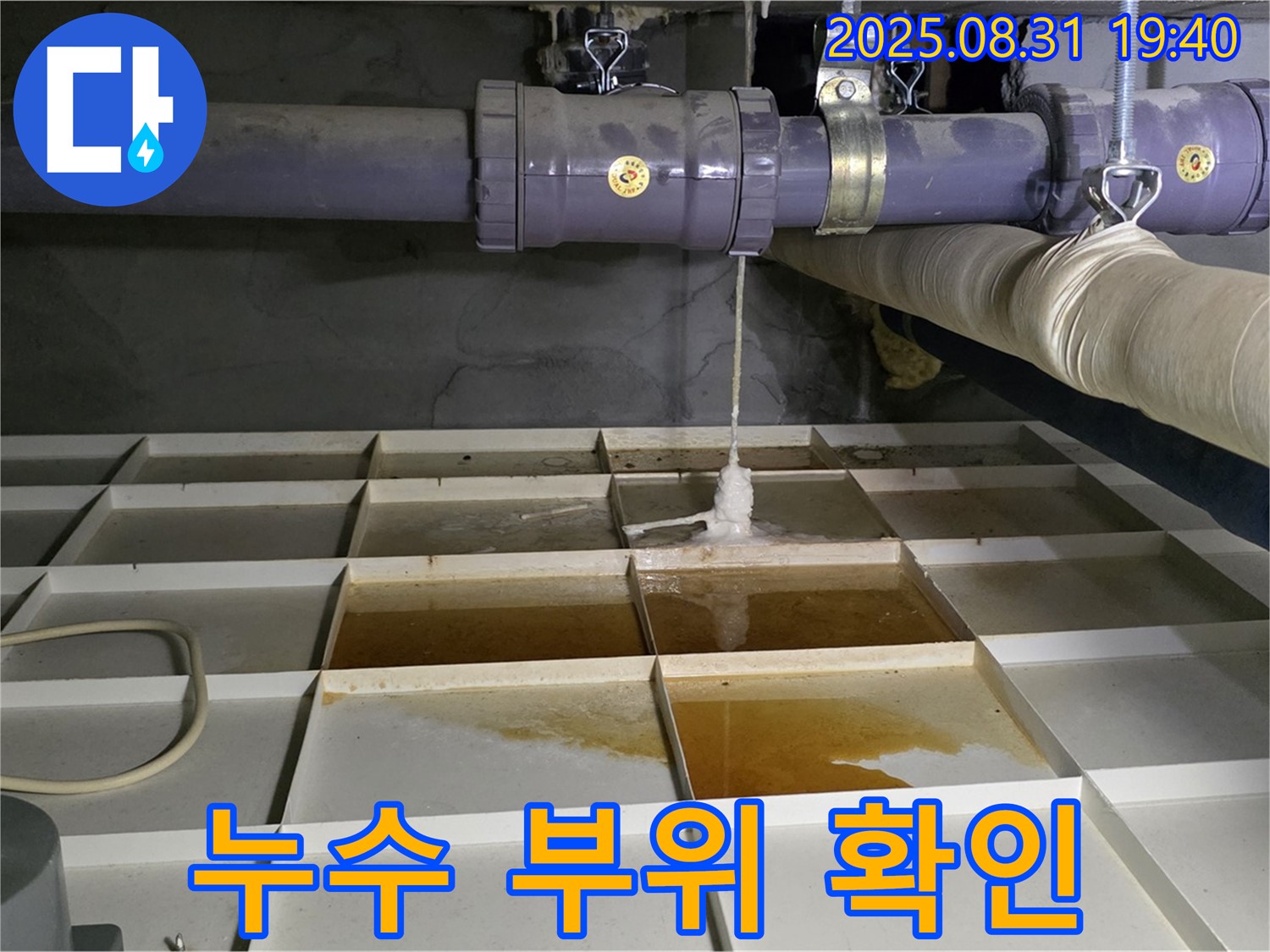 분당 구미동 누수 현장 - 누수 부위 꼼꼼하게 확인