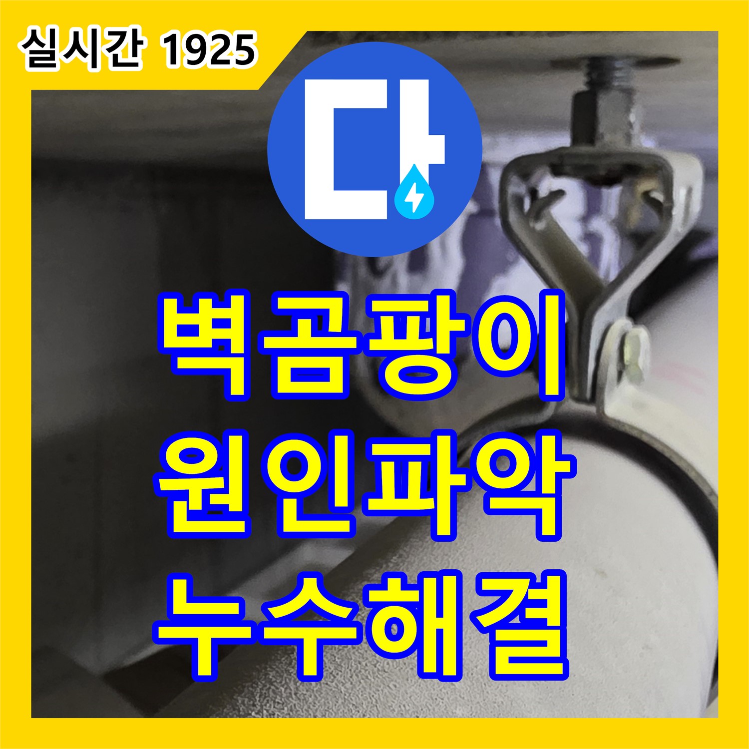 분당 누수전화, 벽 곰팡이 문제, 원인 파악 및 누수 해결 전문