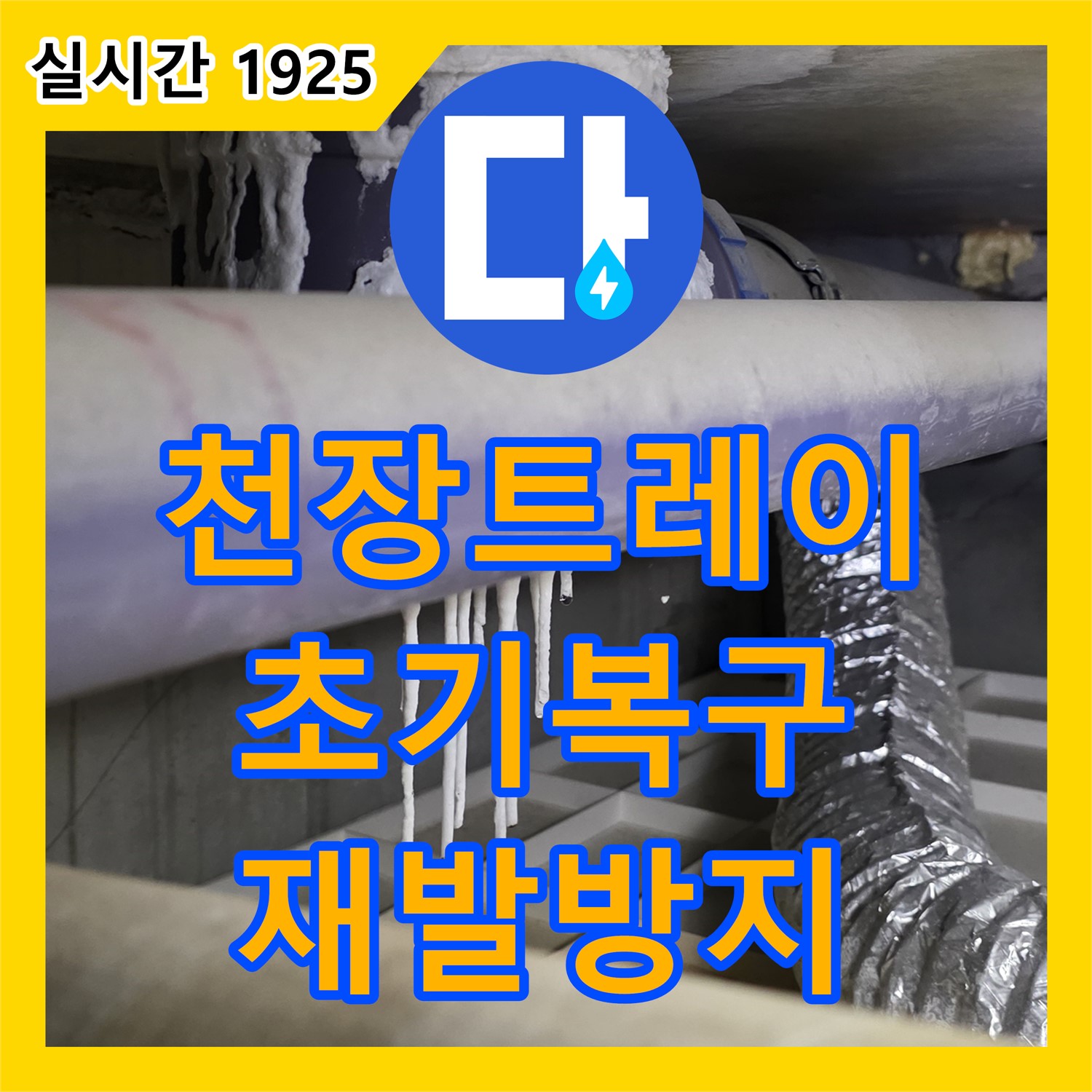 분당 누수탐지, 운중동 건물 천장 트레이 누수, 초기 복구 및 재발 방지