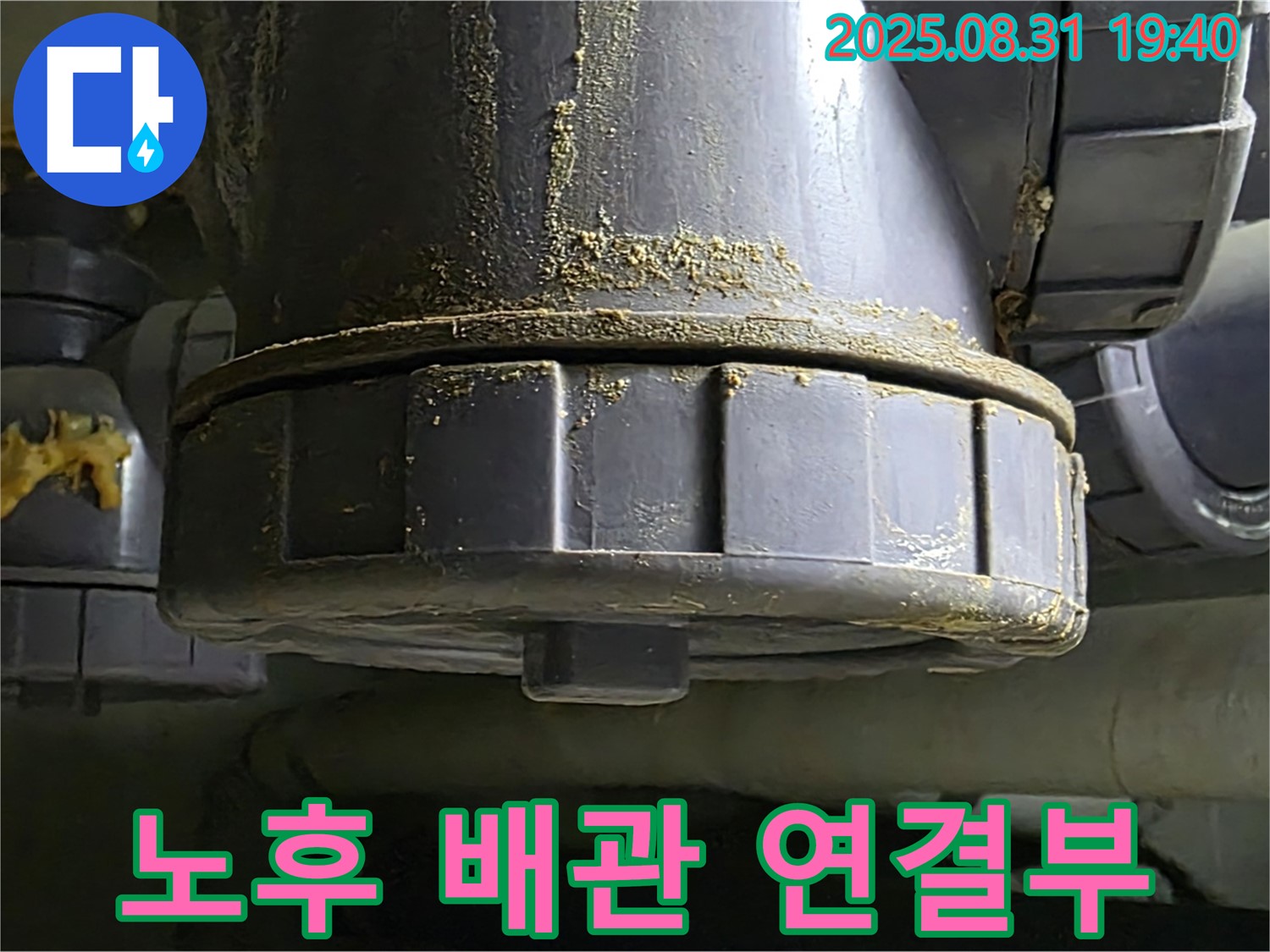 분당 백현동 주택 누수 - 노후된 배관 연결부에서 누수 발생