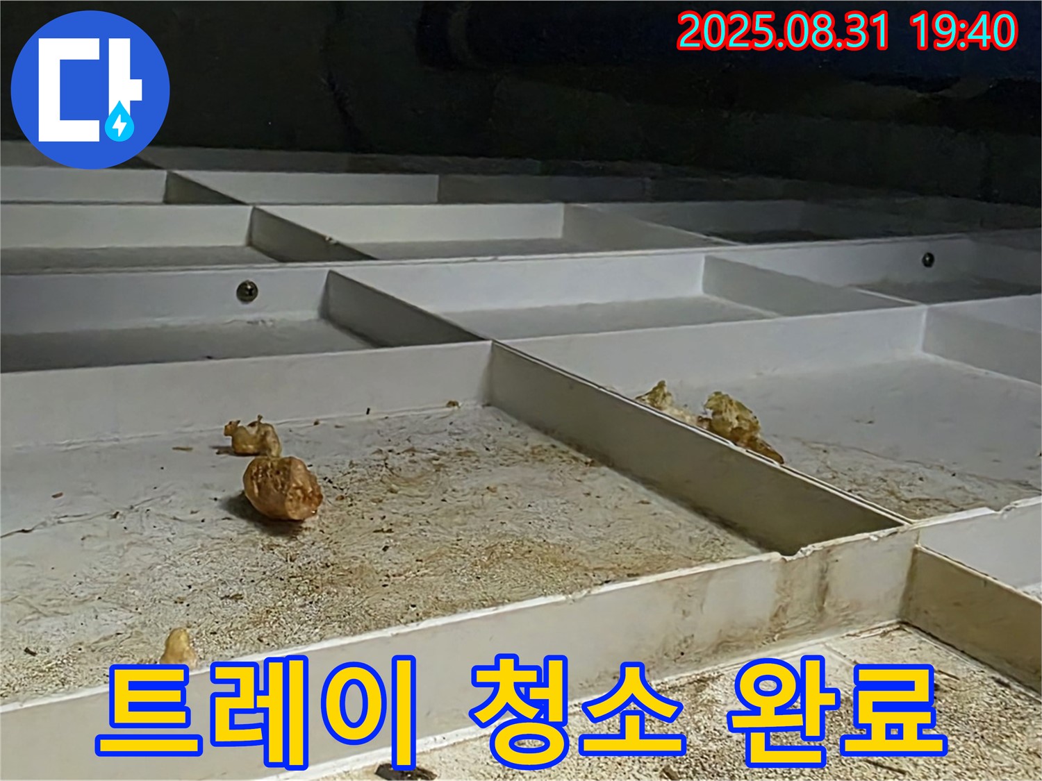 분당 삼평동 누수 - 천장 배수 트레이 꼼꼼하게 청소 완료
