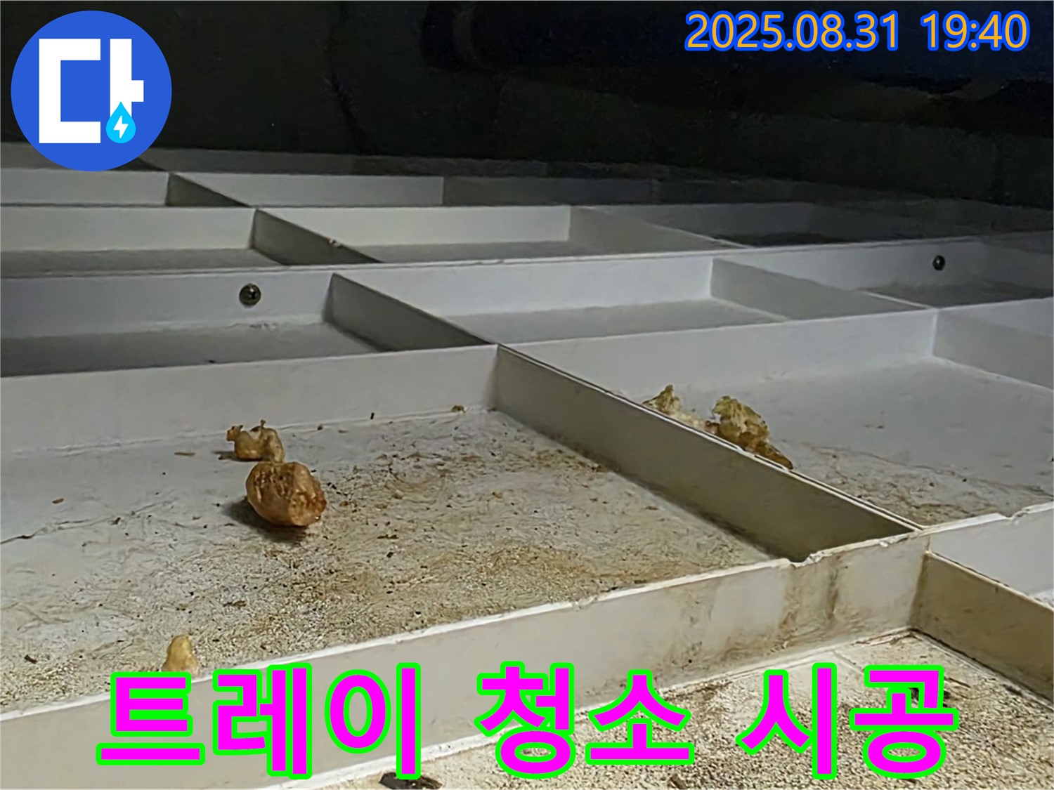 분당 삼평동 누수 - 천장 배수 트레이 완벽하게 청소 시공 완료
