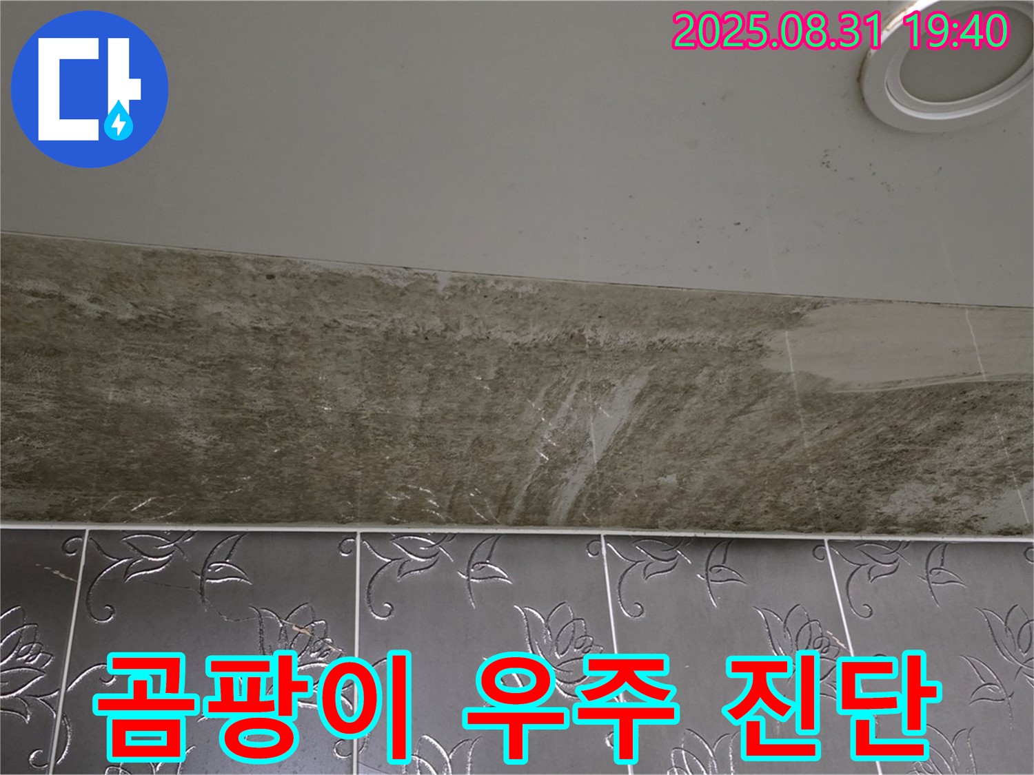 분당 수내동 욕실 천장 누수 - 곰팡이가 우주처럼 핀 누수, 긴급 진단!