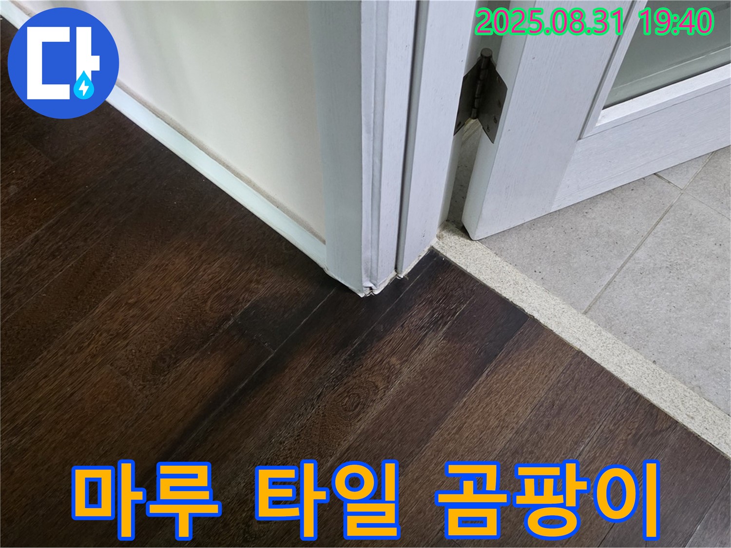 분당 정자동 누수 - 마루와 타일 연결 부위 곰팡이, 건강을 위협하는 누수일 수 있습니다.
