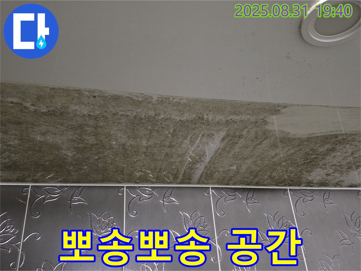 분당 정자동 욕실 천장 누수 - 곰팡이 문제 해결하고 뽀송뽀송한 공간으로 변신!
