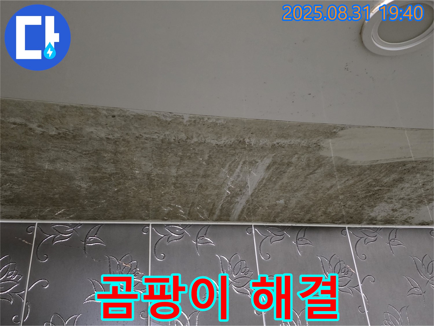분당구 구미동 욕실 천장 누수 - 곰팡이 뒤덮인 욕실, 천장 누수 완벽 해결!
