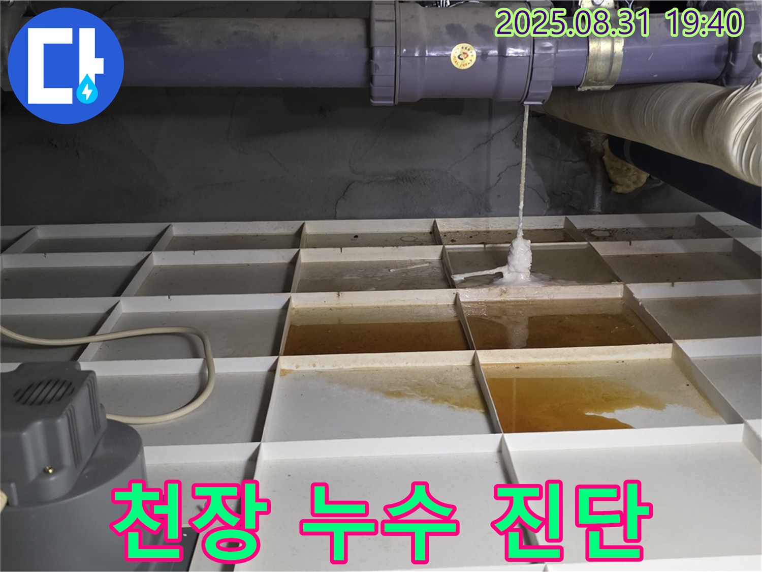 분당구 금곡동 건물 누수 - 천장 누수, 윗집 문제? 꼼꼼 진단