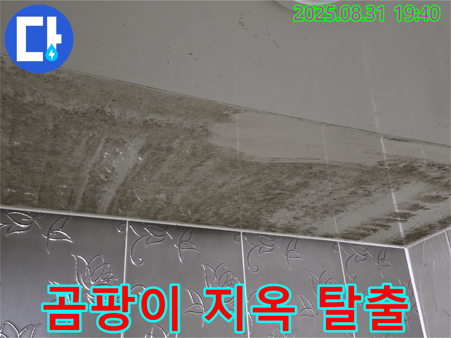 분당구 백현동 - 곰팡이 지옥 탈출 - 쾌적한 욕실