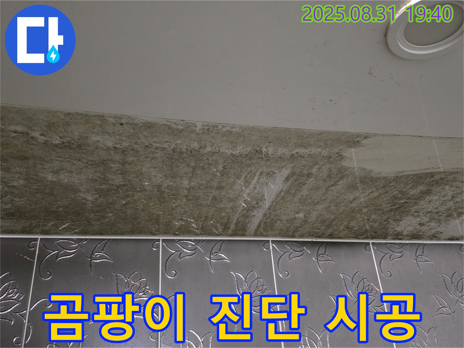 분당구 백현동 곰팡이 핀 욕실 천장 누수 - 정확한 진단으로 누수 문제를 확실하게 해결했습니다.