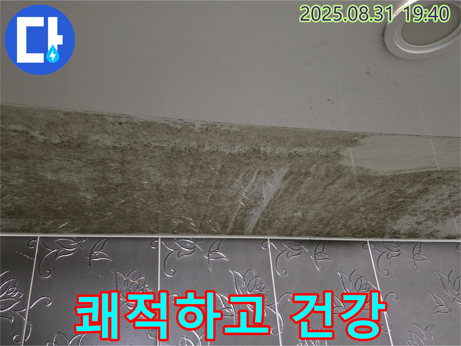 분당구 백현동 욕실 천장 누수 - 곰팡이 OUT! 쾌적하고 건강한 욕실로!