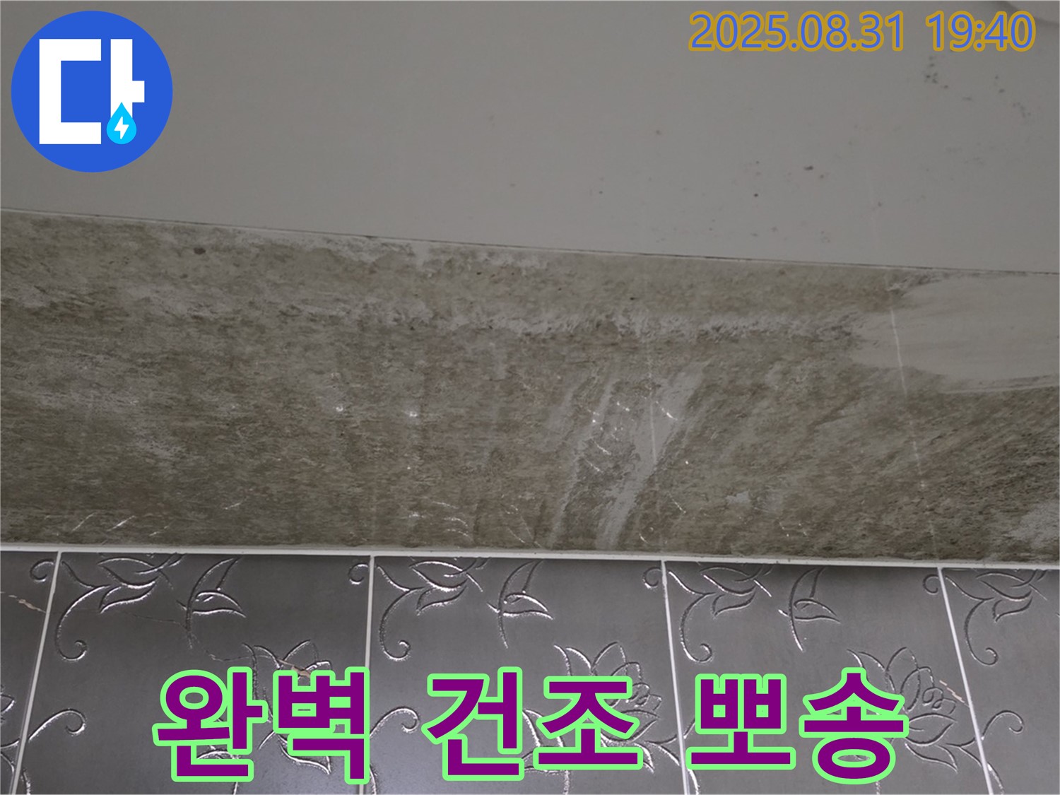 분당구 산운로 121 - 곰팡이 제거 후 완벽 건조 뽀송뽀송 욕실