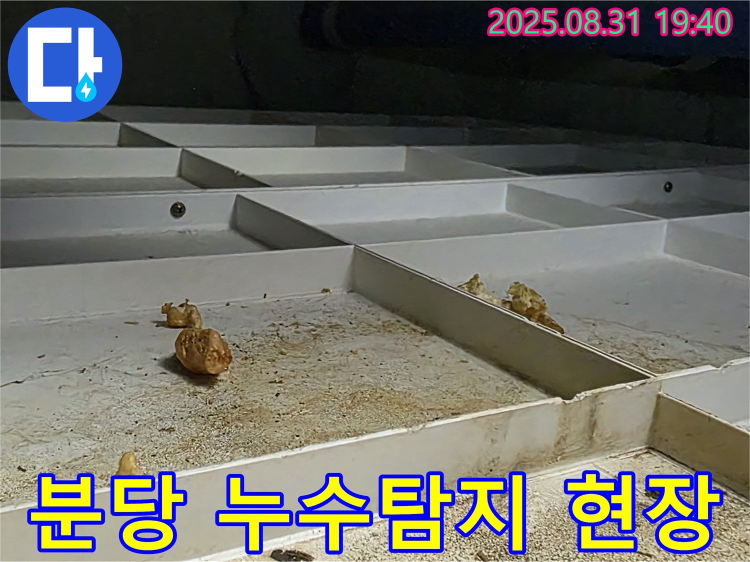 분당구 산운로 누수탐지 현장 - 천장 누수 원인 파악 및 해결 과정