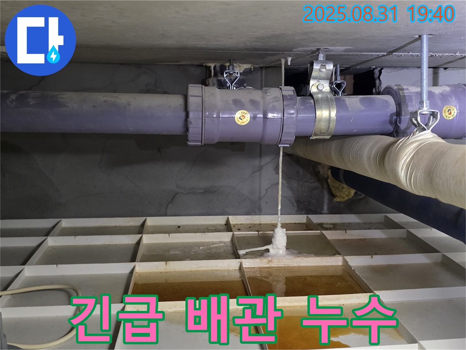 분당구 산운로 배관 누수 - 긴급하게 누수 해결하고, 더 이상 물 샐 틈 없도록 꼼꼼하게 작업했습니다.