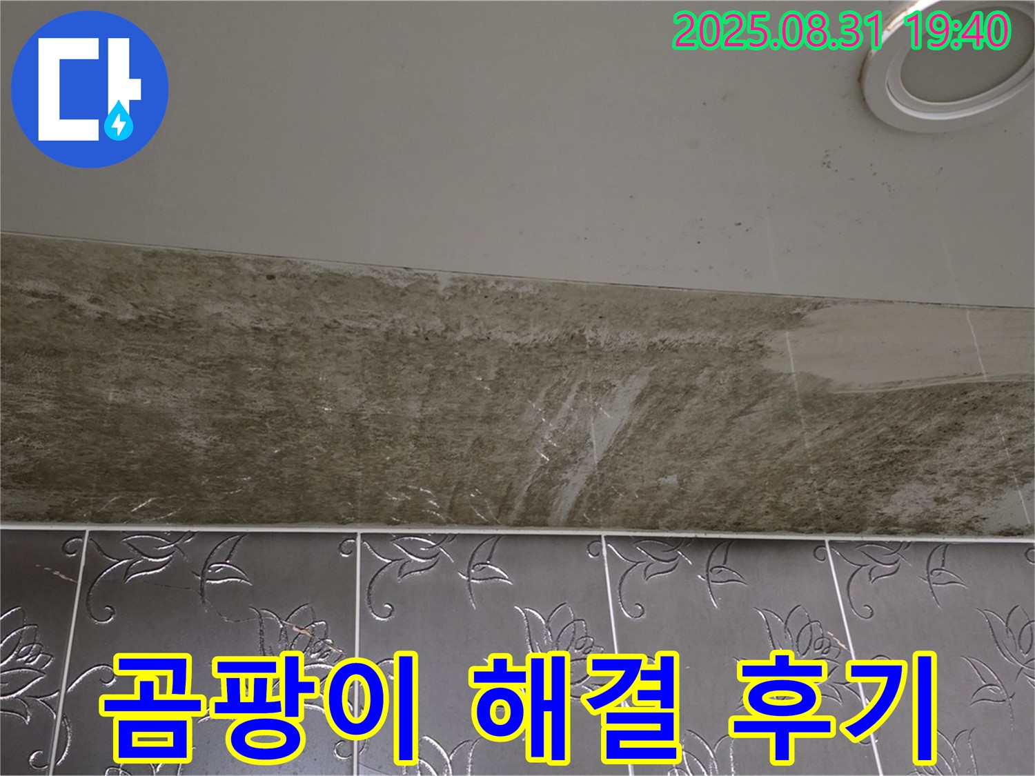 분당구 정자동 곰팡이 밭이 된 욕실 천장 누수 - 완벽하게 해결된 감동적인 후기!