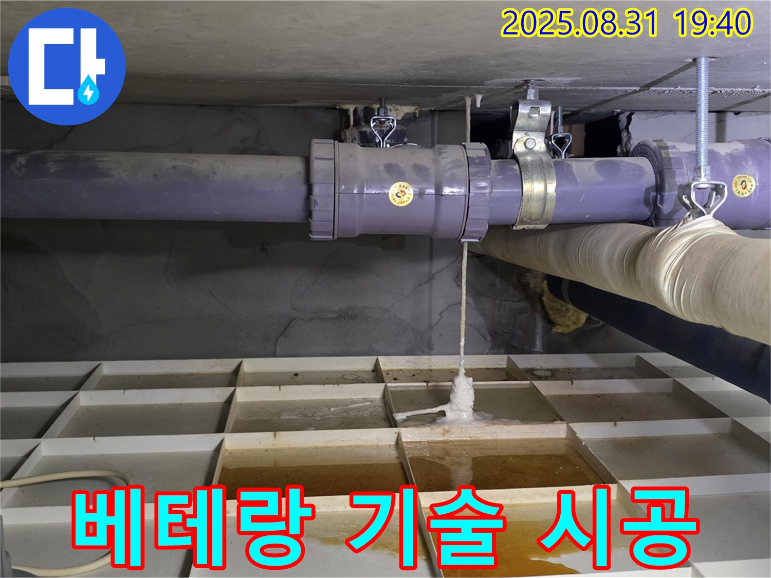 분당구 정자동 누수 - 베테랑 기술자의 꼼꼼한 손길로 완벽 시공