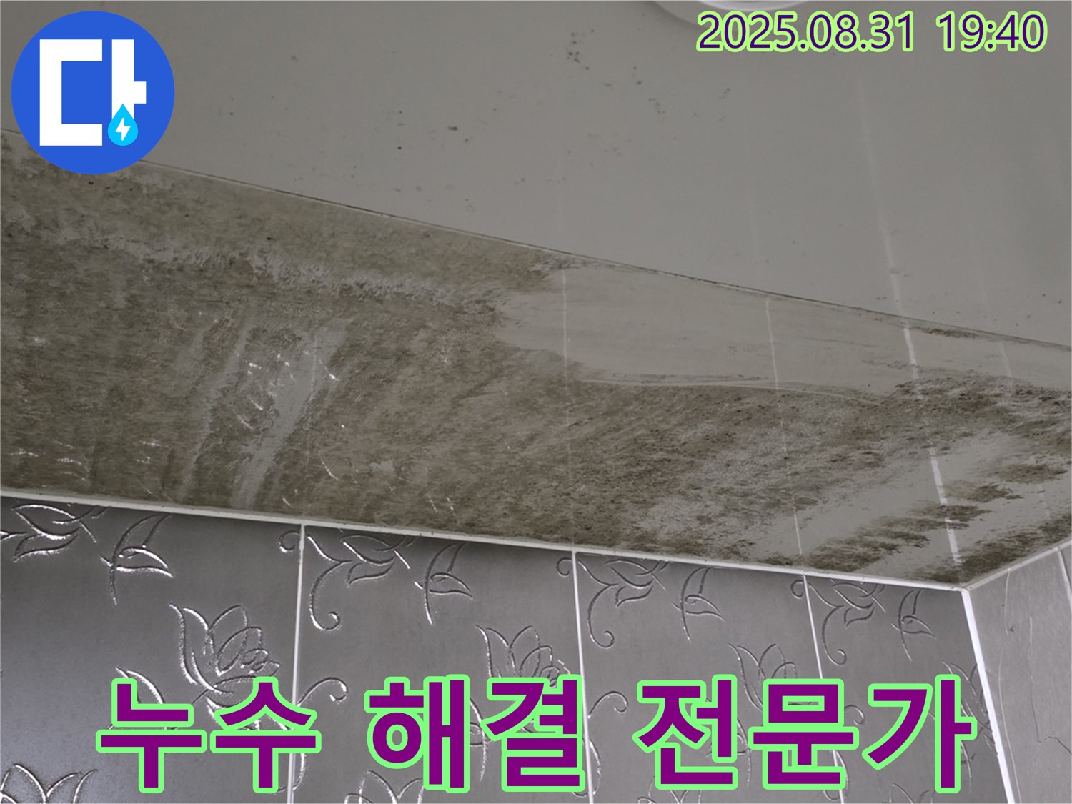 산운동 욕실 누수 - 천장 곰팡이 해결 전문가