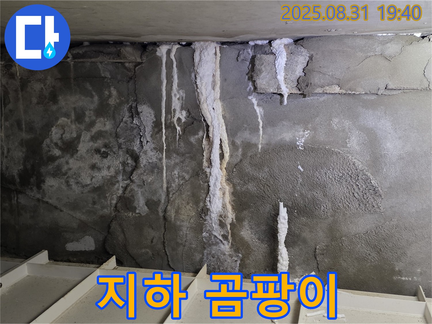 산운동 주택 지하 콘크리트 누수 - 누수로 인한 곰팡이 발생, 건강 위협