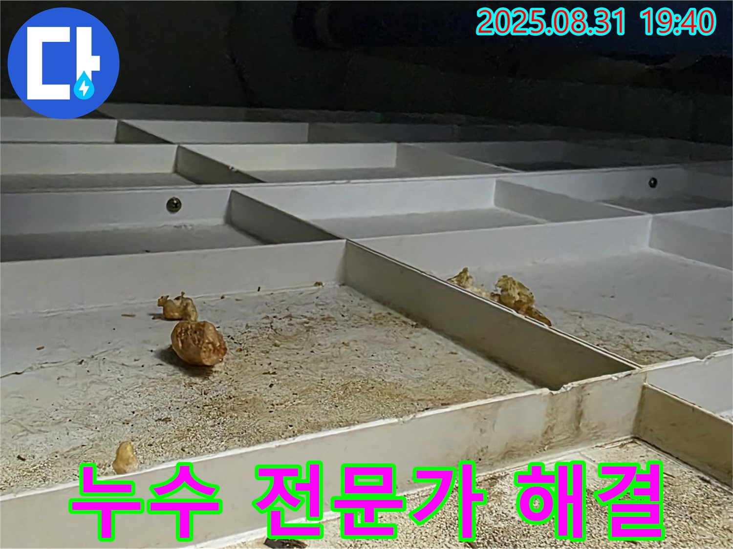 산운마을 누수 - 분당 누수 전문가의 확실한 해결