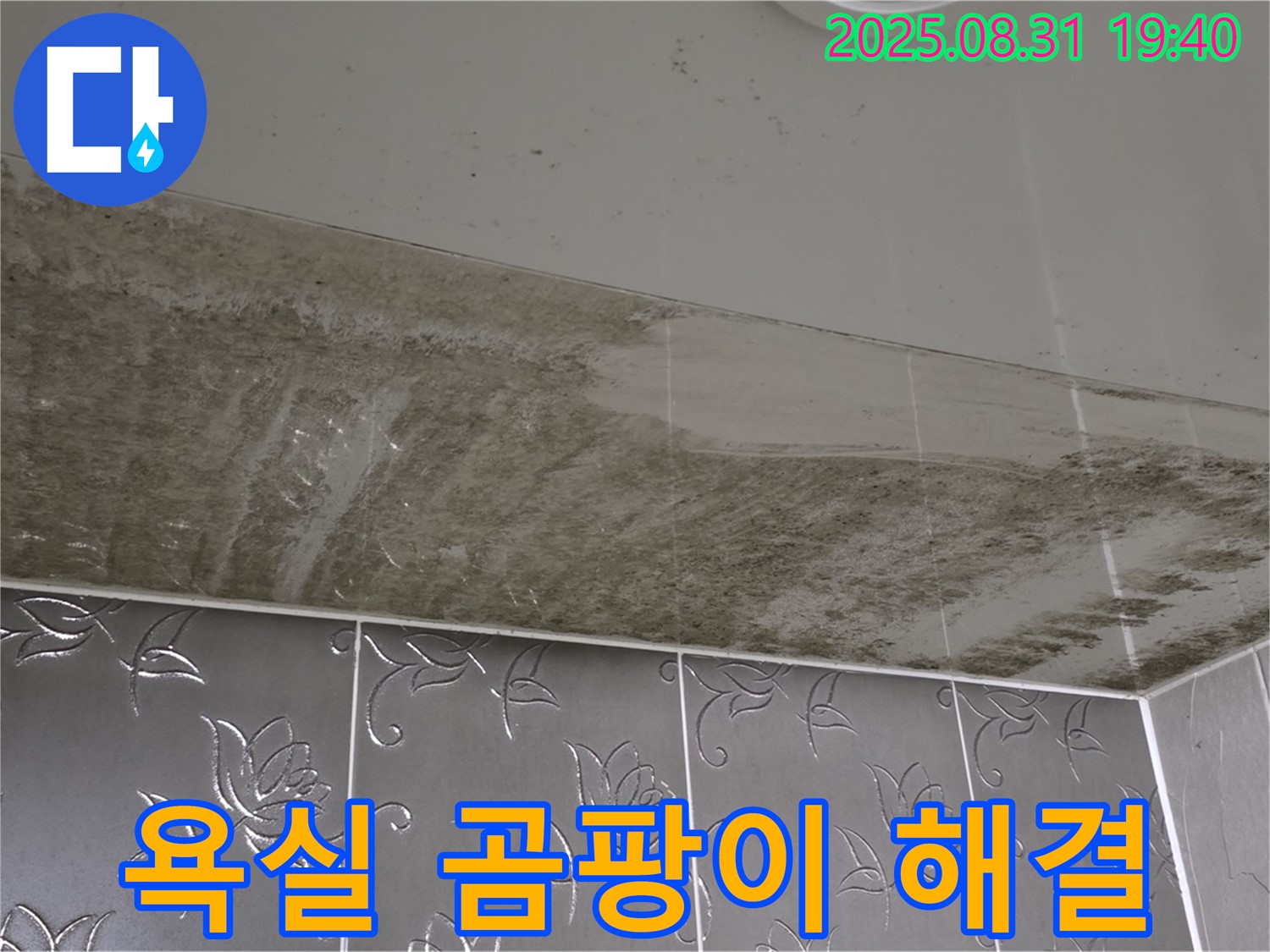 석운동 욕실 천장 곰팡이 - 누수 문제를 해결하고 깨끗해진 욕실 천장의 모습입니다.