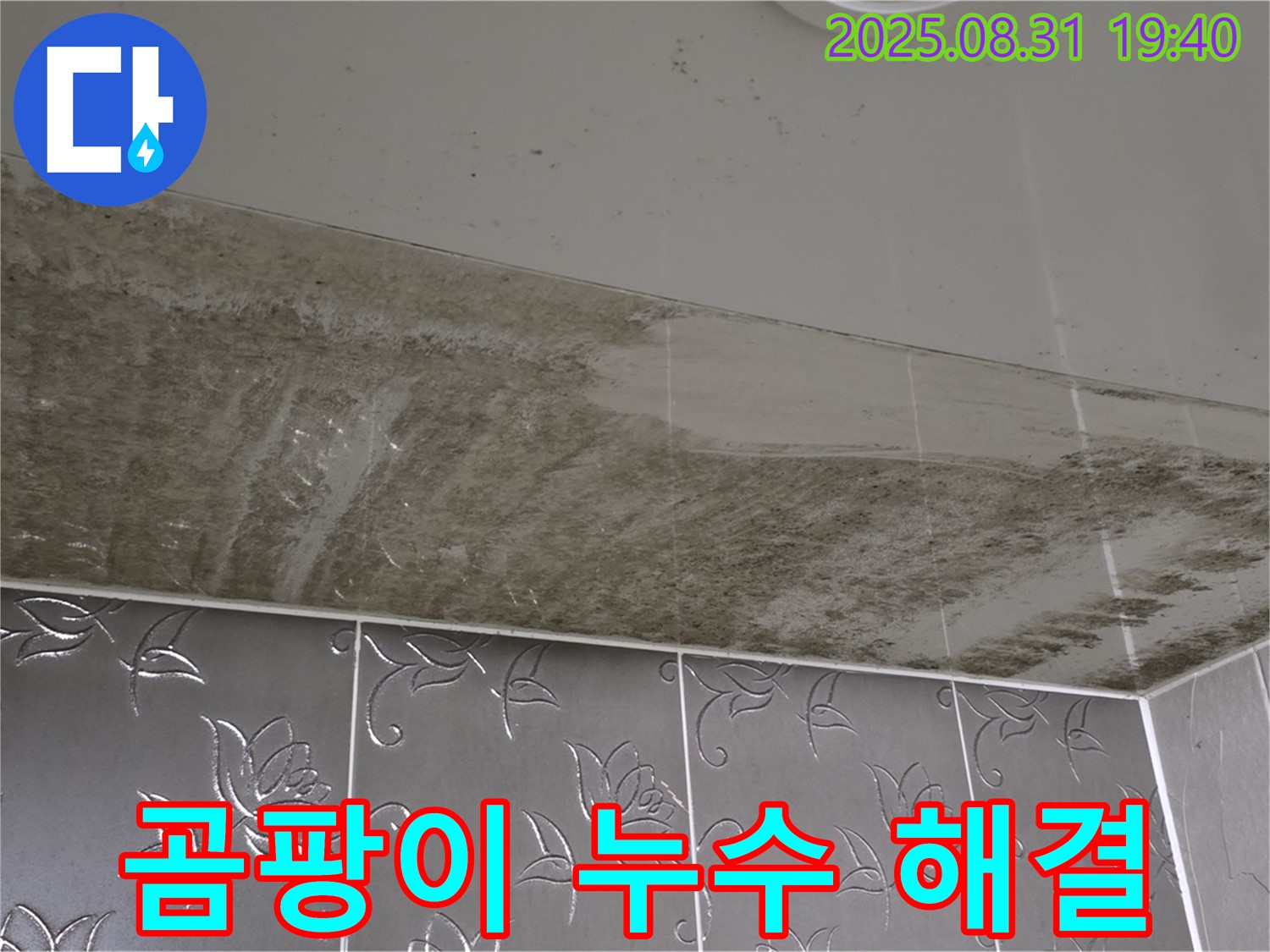석운동 욕실 천장 곰팡이 - 누수 해결 후 깨끗해진 모습