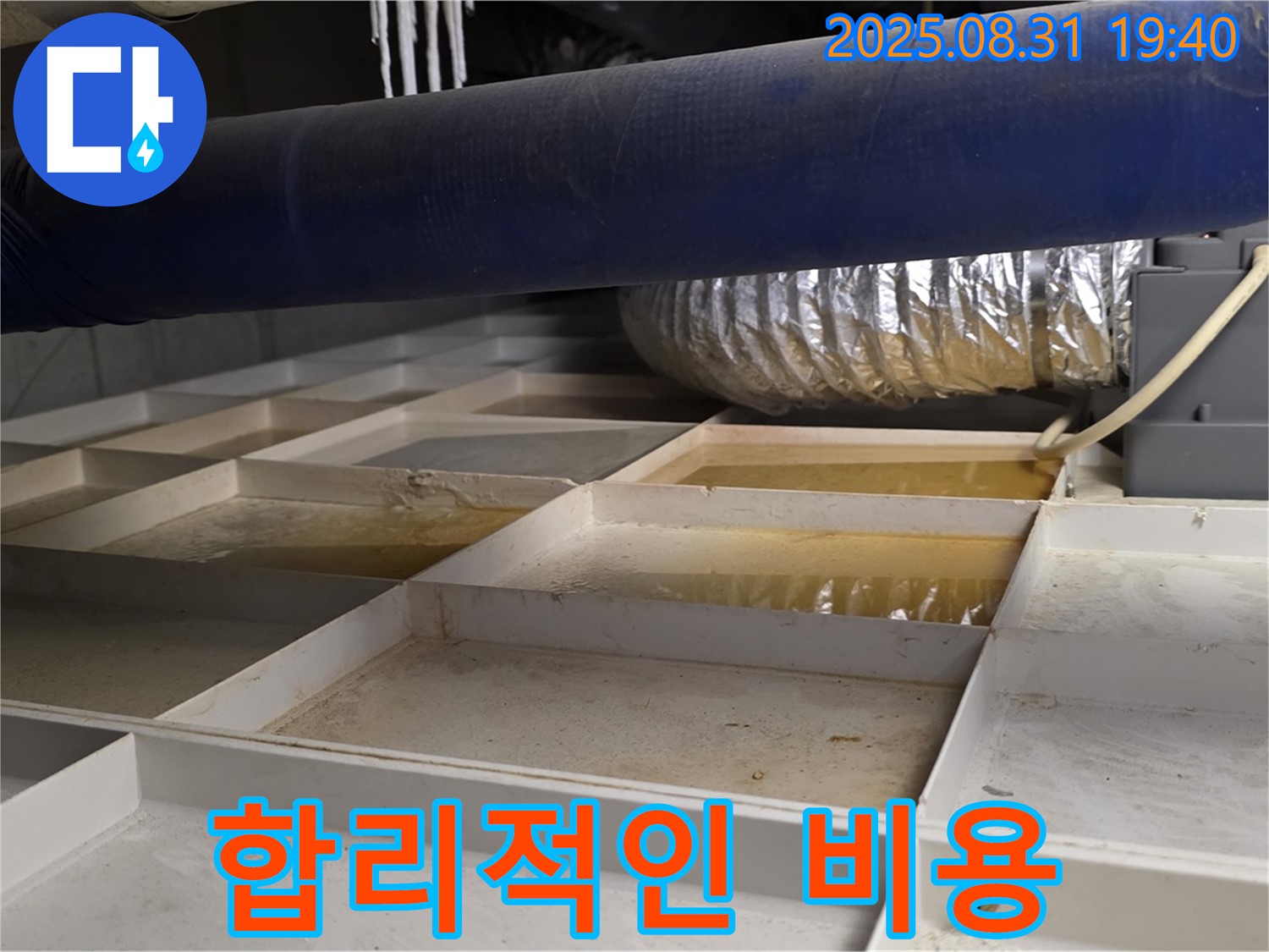 성남 분당 백현동 건물 텍스 누수 - 합리적인 비용으로 누수 문제 해결