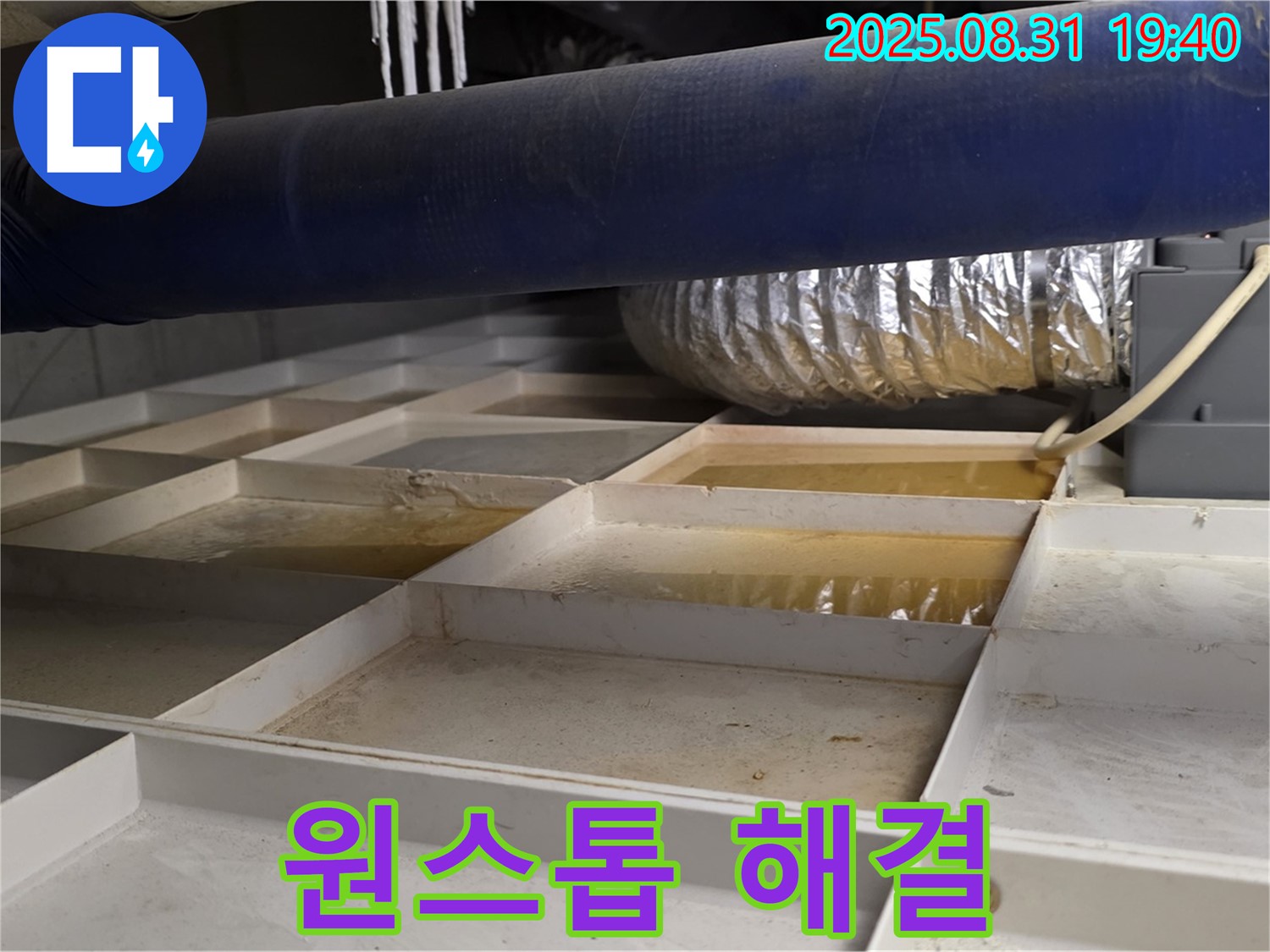 성남 분당 산운로 건물 바닥 누수 - 누수 탐지부터 완벽 공사까지 원스톱으로 해결