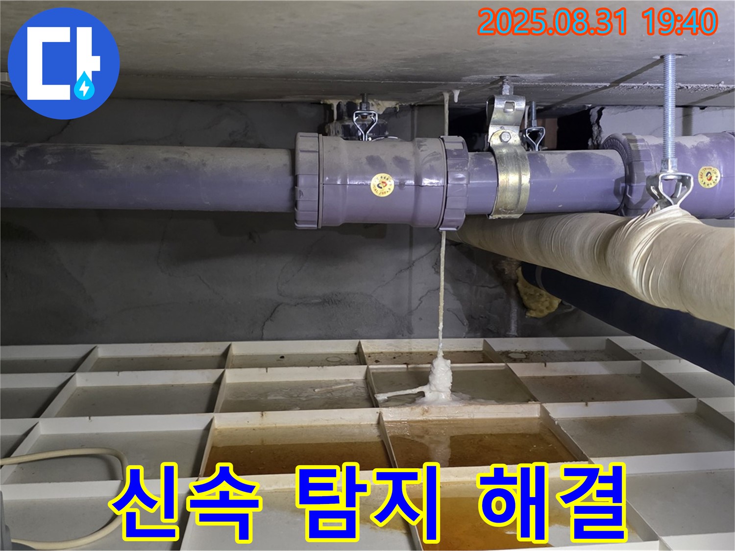 성남시 분당구 누수 - 신속한 탐지와 완벽한 해결로 누수 고민 해결