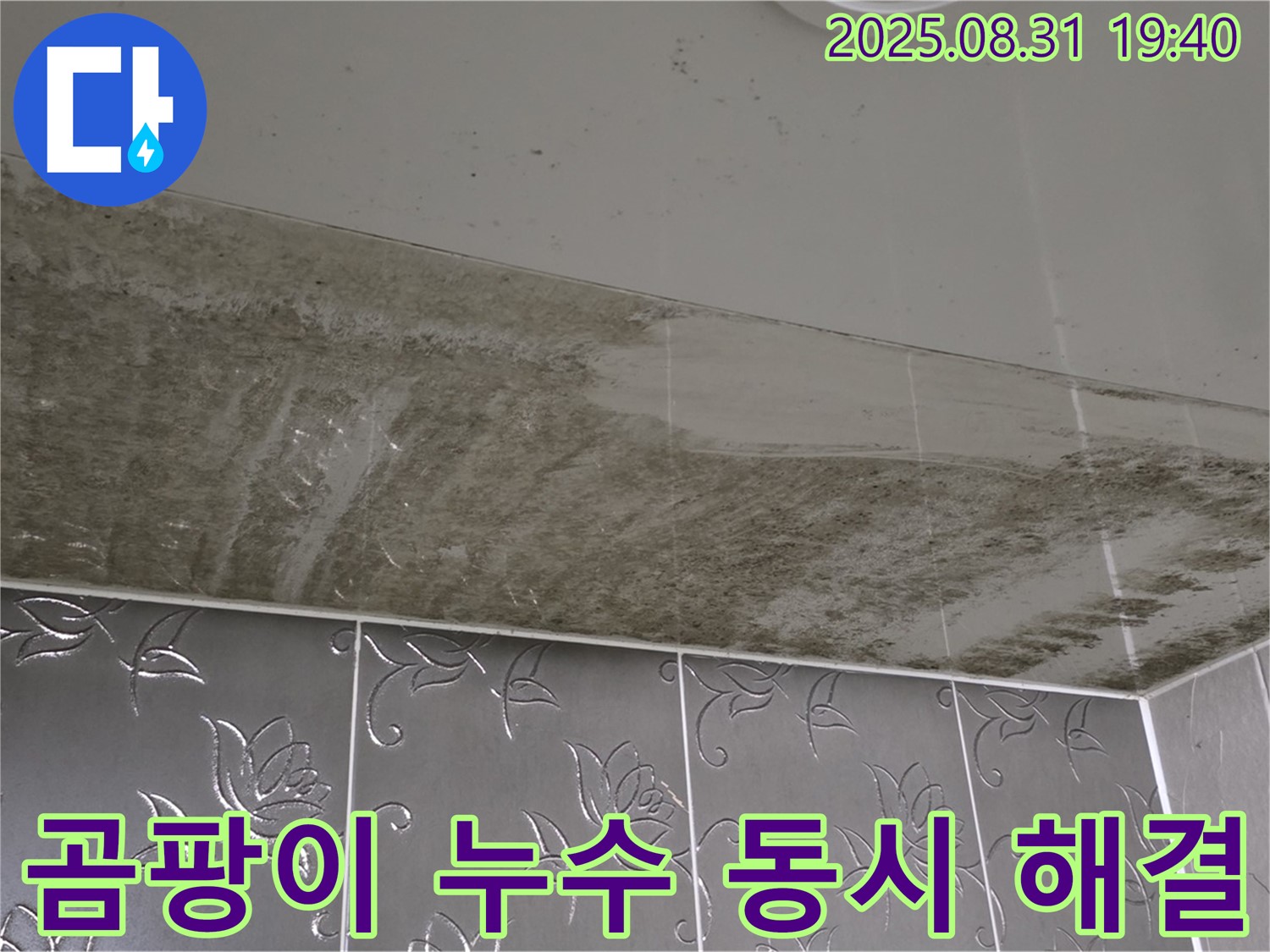 성남시 분당구 산운동 아파트 - 곰팡이 누수 동시 해결