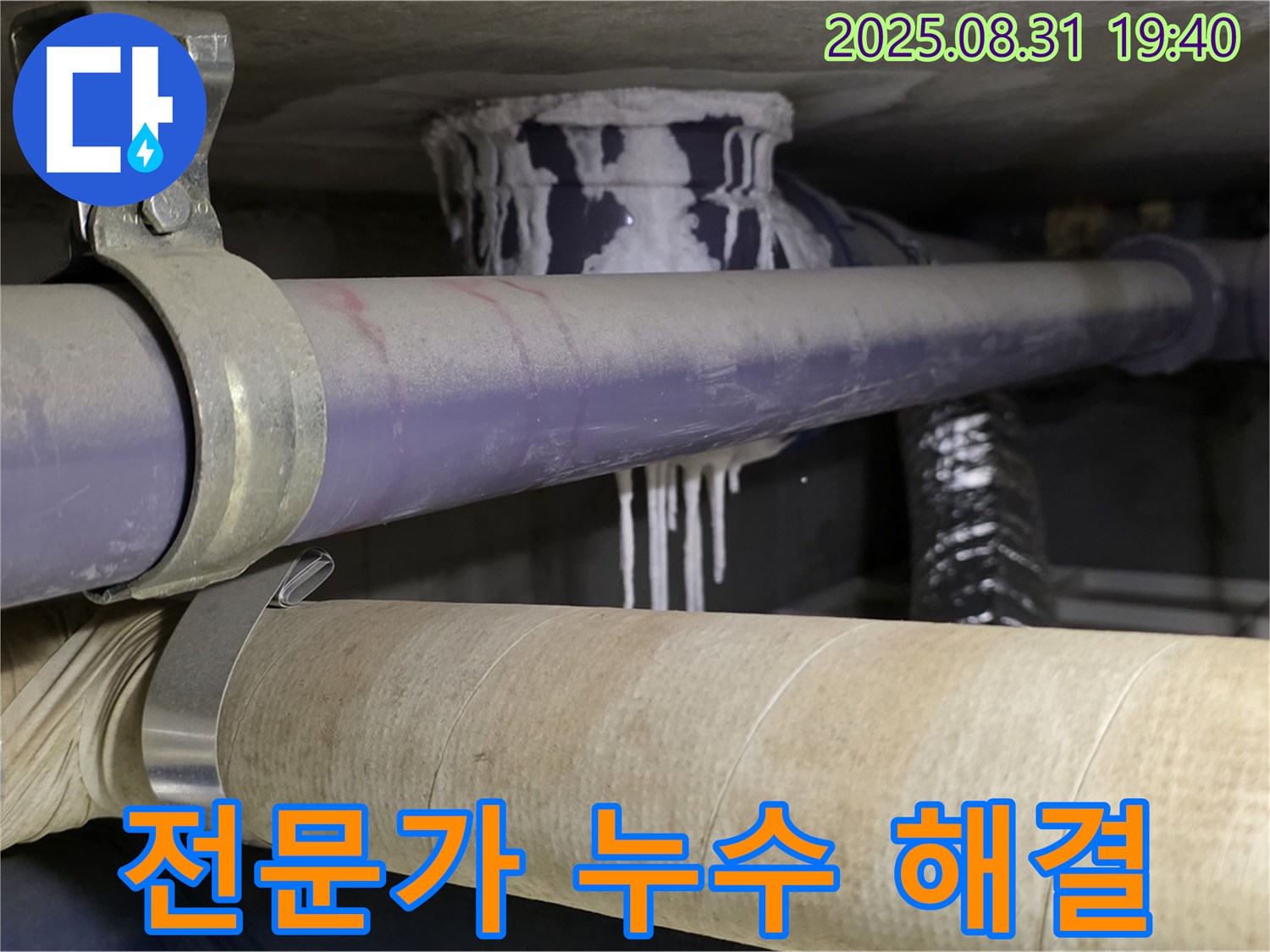 숙련된 누수 탐지 전문가가 누수 문제를 해결하는 모습 - 믿을 수 있는 실력과 경험.