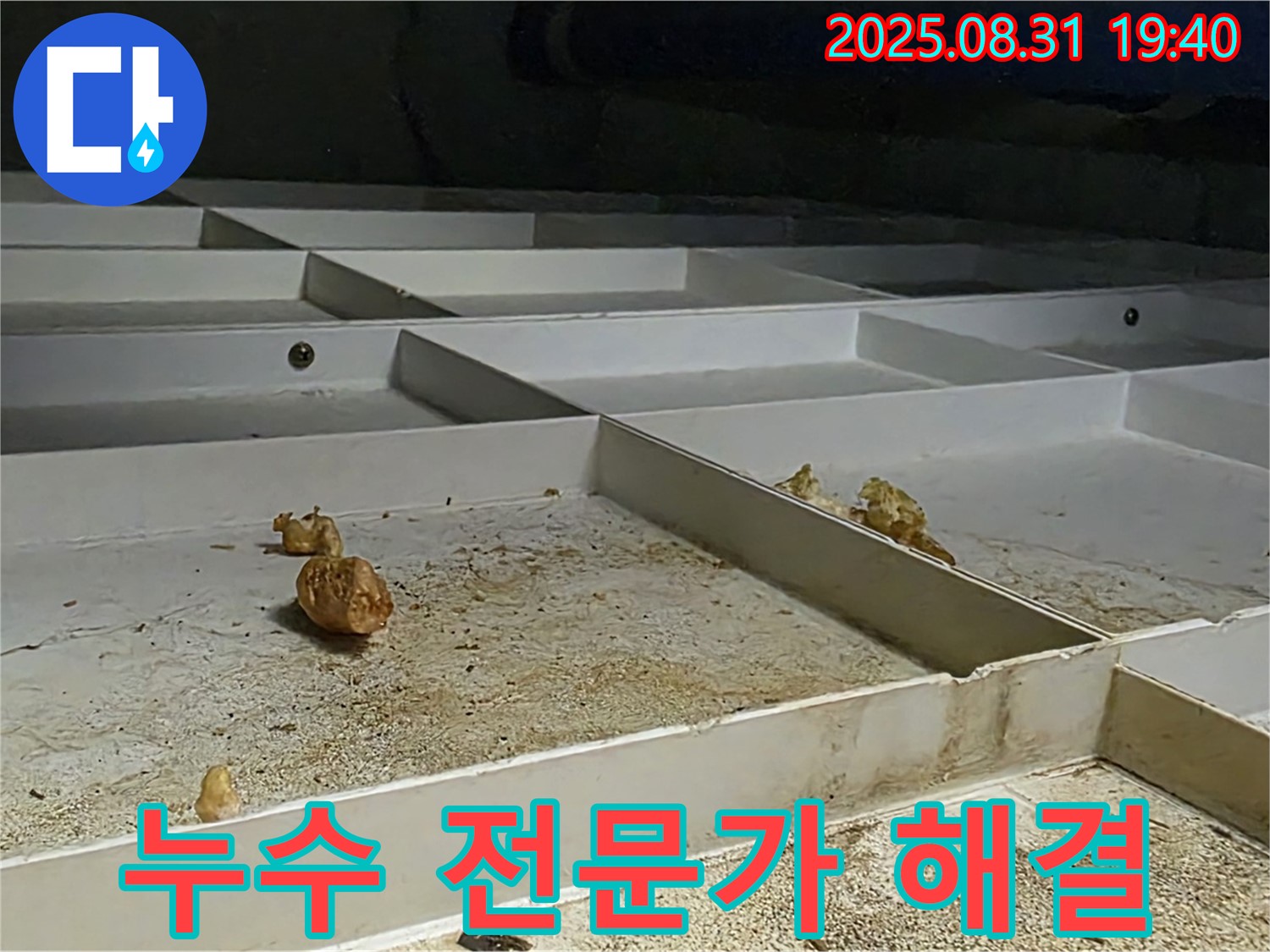정자마을 누수 - 분당 누수 전문가의 확실한 해결 과정