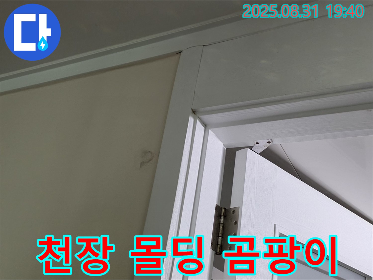 천장 몰딩 곰팡이 - 천장 몰딩에 곰팡이가 발생했습니다.