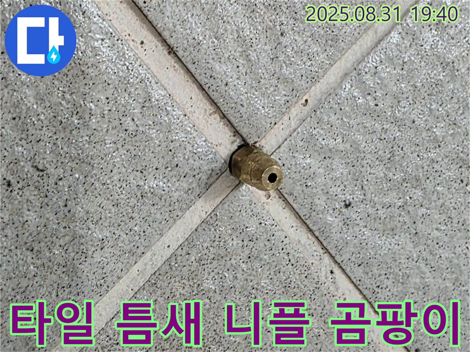 타일 틈새 니플 완벽 제거 후 곰팡이까지 싹 - 깨끗한 공간으로!