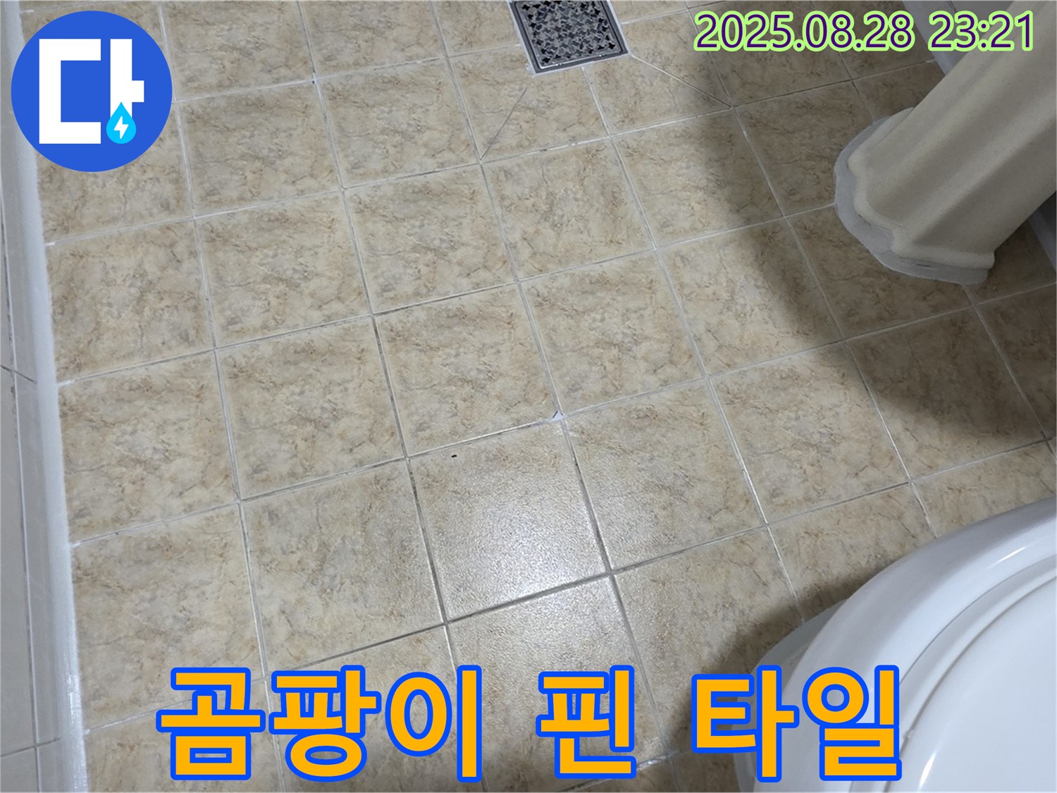 곰팡이 핀 타일 - 완벽한 곰팡이 제거와 누수 해결