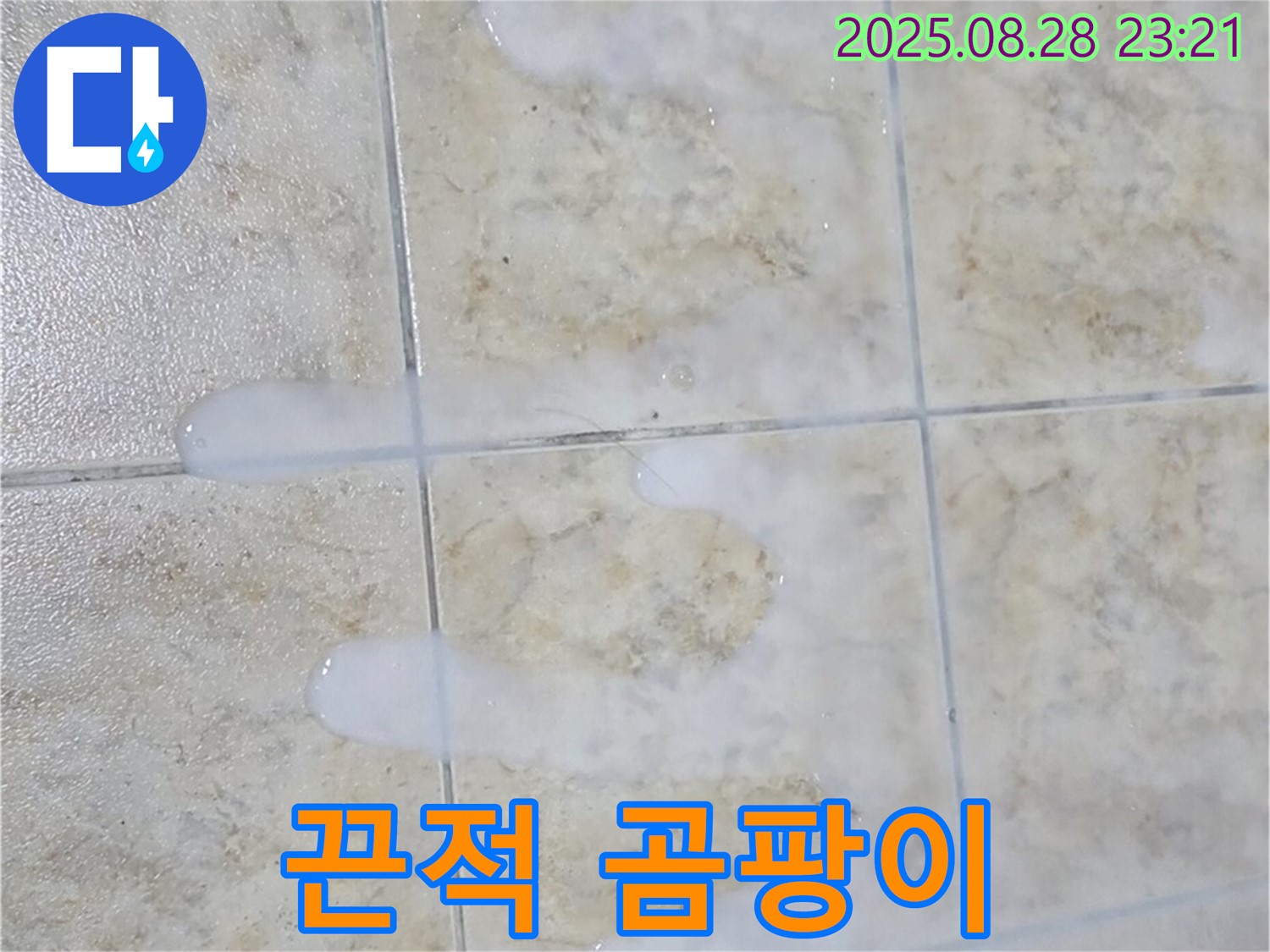 끈적거리고 곰팡이 핀 백시멘트 - 묵동 주택 욕실에서 물이 닿으면 끈적거리고 곰팡이도 피어있는 백시멘트 - 누수와 곰팡이 문제를 동시에 해결해야 합니다.
