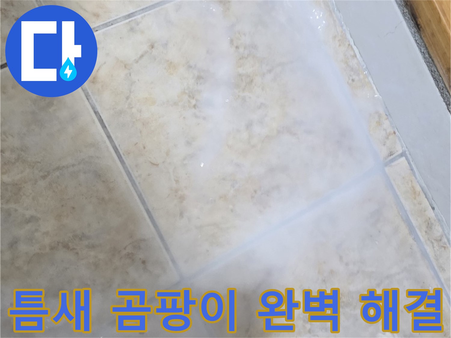 타일 틈새 곰팡이 - 완벽 제거 후 - 누수까지 한 번에!